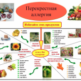 Перекрестная аллергия